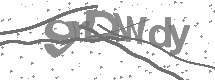 visual captcha